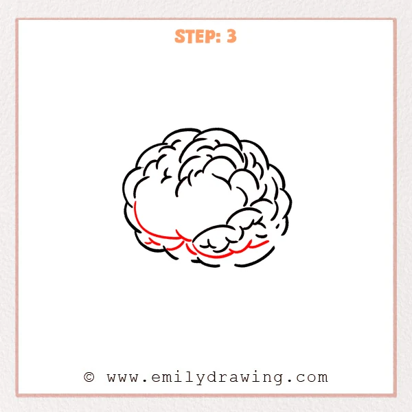 how to draw a cartoon brain - A cartoon brain with extra curved lines added along the lower edge to show a deeper crease and more thickness.